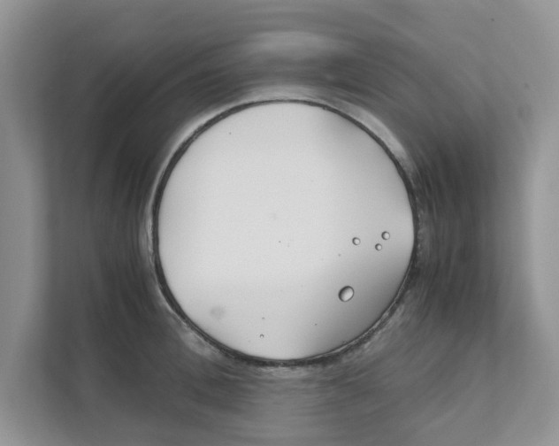X0000110930996200907161535