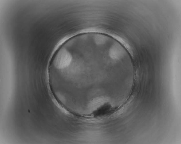 X0000110930998200907161535