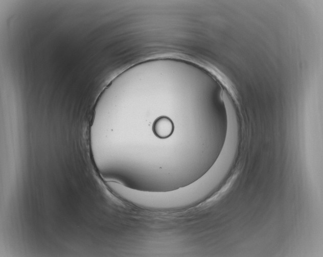 X0000110931001200907161535