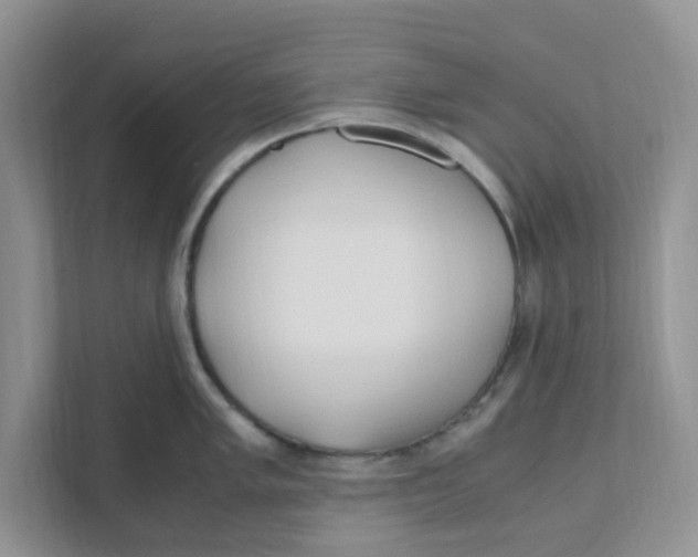 X0000110931005200907161535