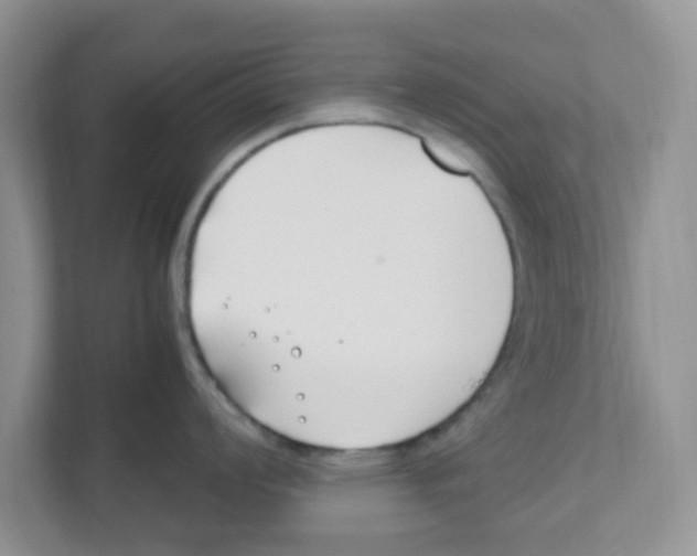 X0000110931008200907161535