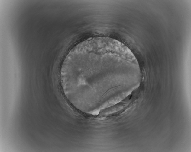 X0000110931009200907161535