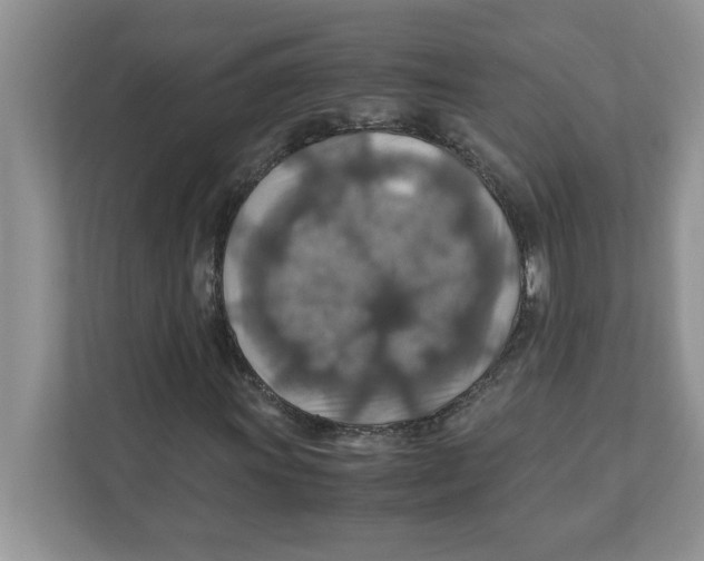X0000110931011200907161535