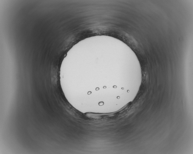 X0000110931012200907161535