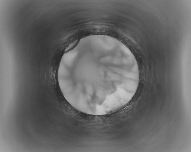 X0000110931013200907161535