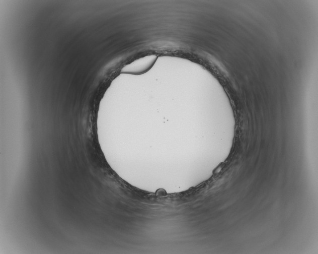 X0000110931016200907161535