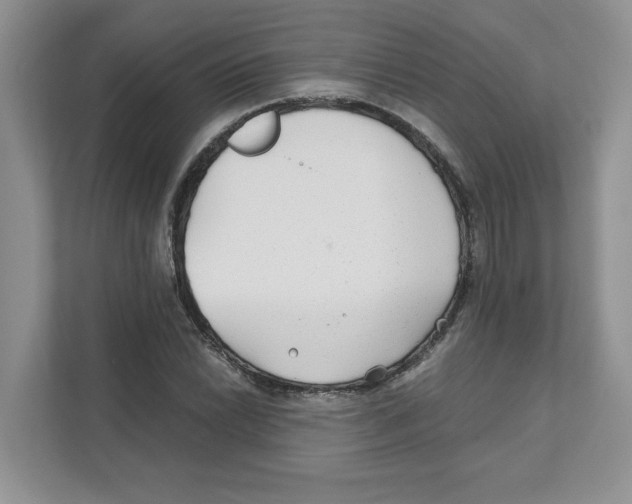 X0000110931022200907161535