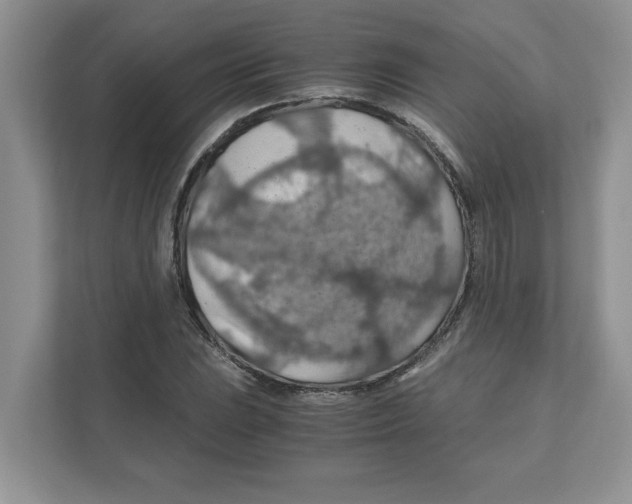 X0000110931023200907161535