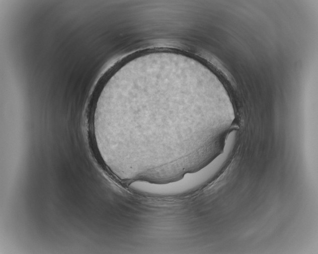 X0000110931024200907161535