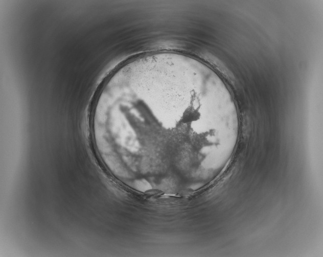 X0000110931031200907161535