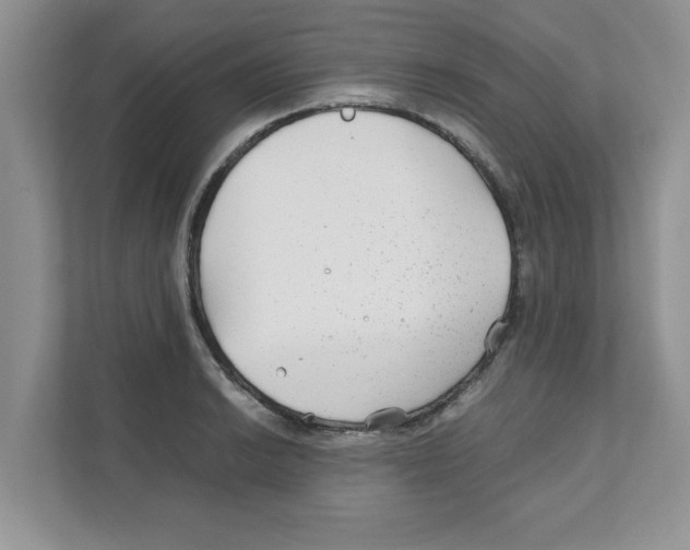 X0000110931038200907161535