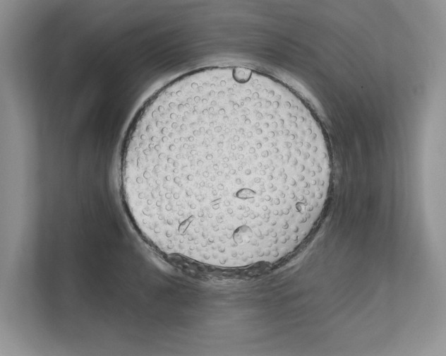 X0000110931040200907161535
