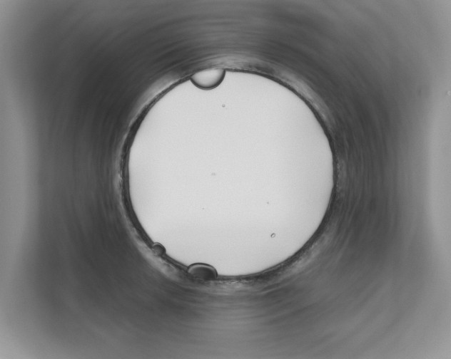 X0000110931042200907161535