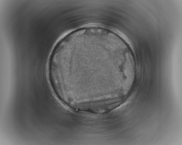 X0000110931045200907161535