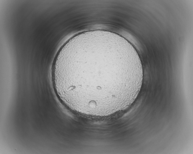X0000110931047200907161535