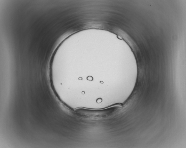 X0000110931050200907161535
