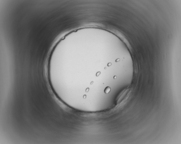 X0000110931054200907161535