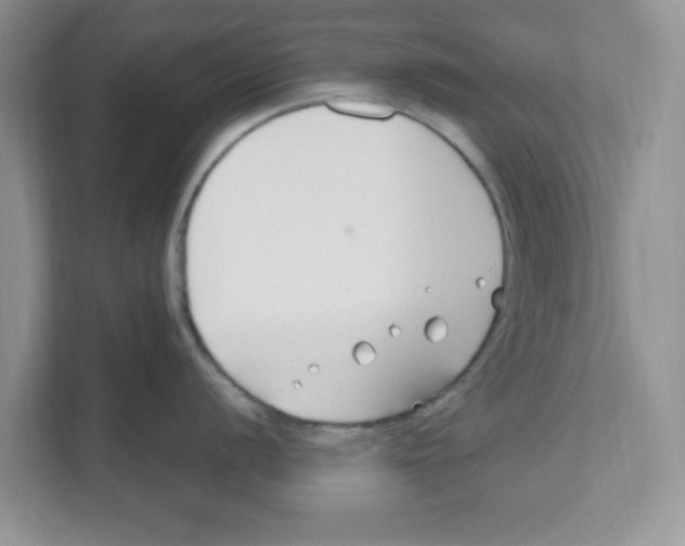 X0000110931056200907161535
