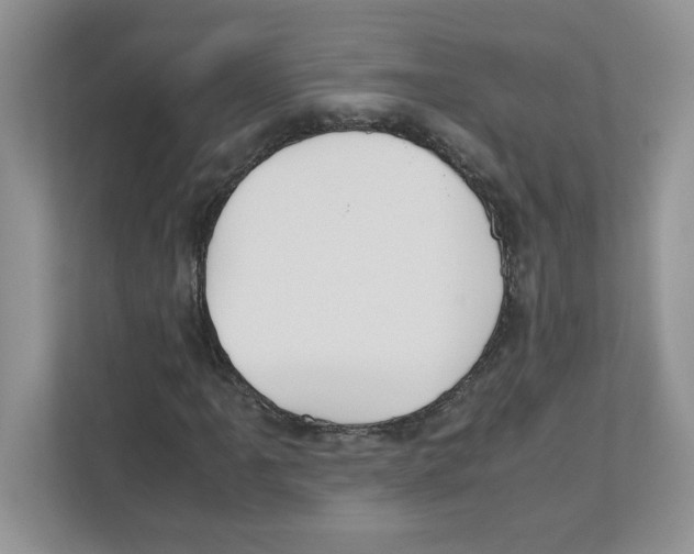 X0000110931061200907161535