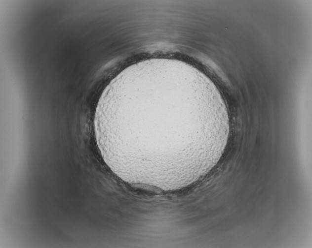 X0000110931063200907161534