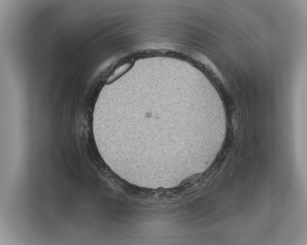 X0000110931064200907161534
