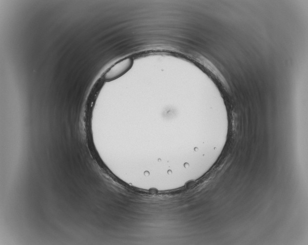 X0000110931068200907161534