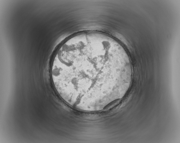 X0000110931071200907161534