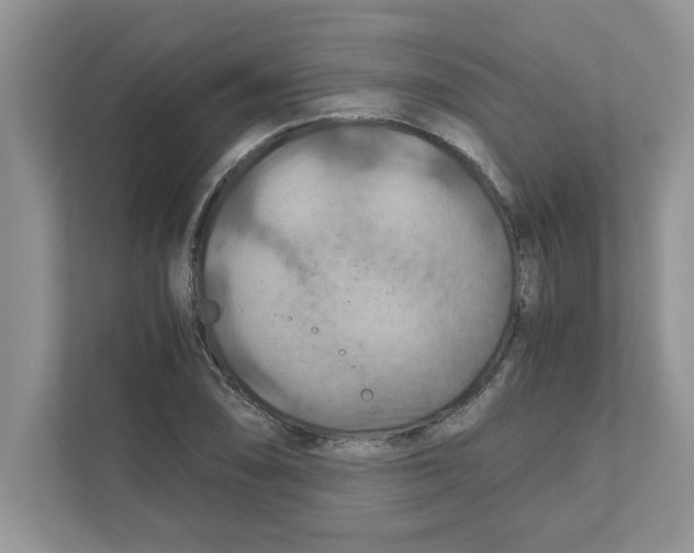 X0000110931074200907161534