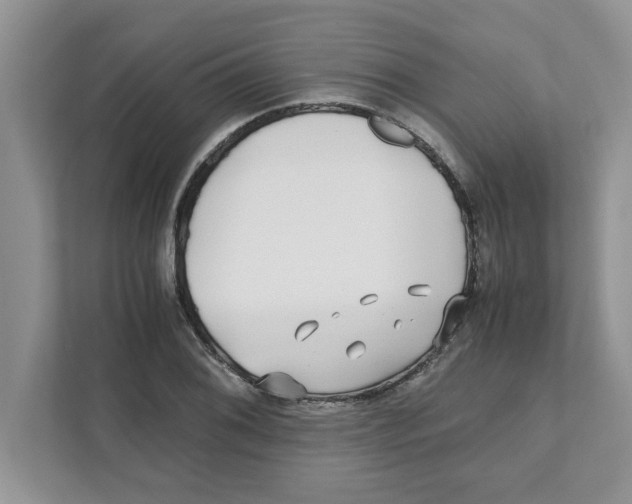 X0000110931076200907161534