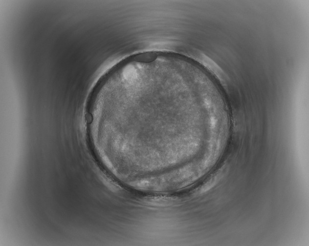 X0000110931077200907161534