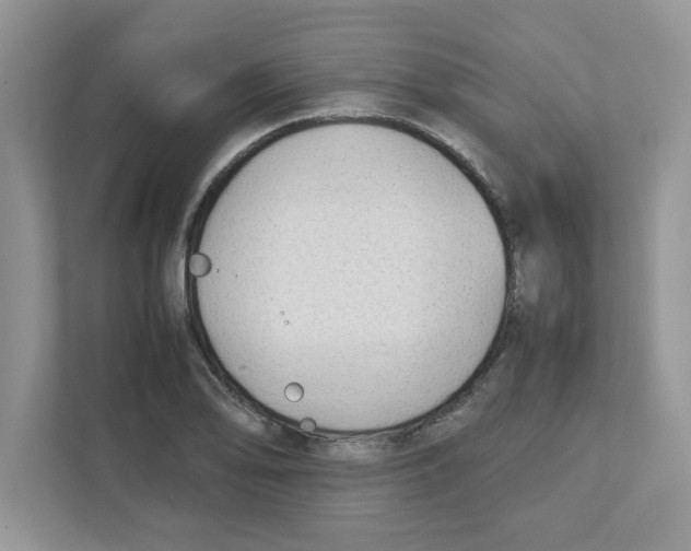 X0000110931078200907161534