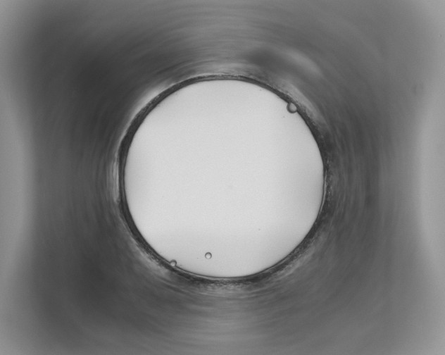 X0000110931079200907161534