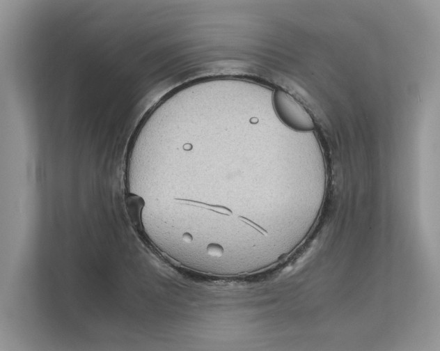 X0000110931081200907161534