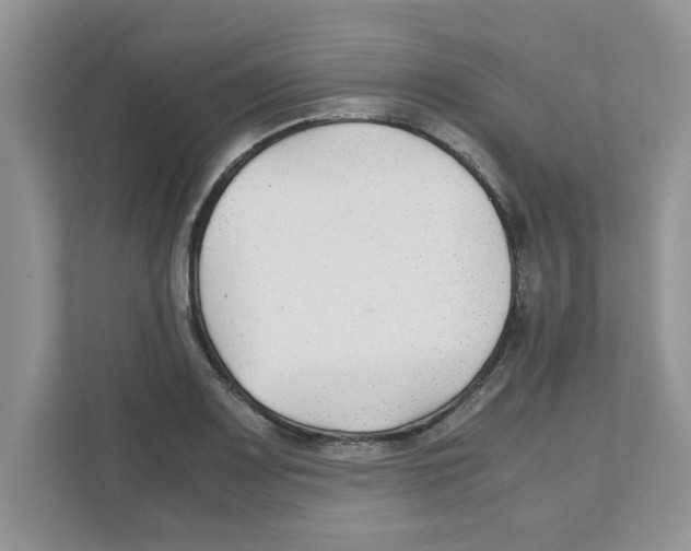 X0000110931083200907161534