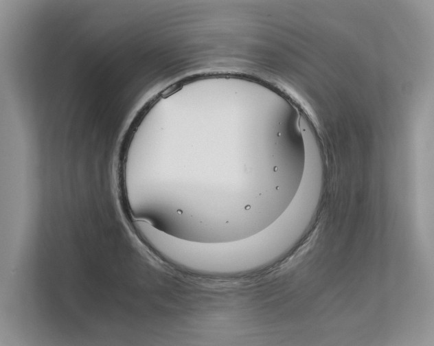 X0000110931085200907161534