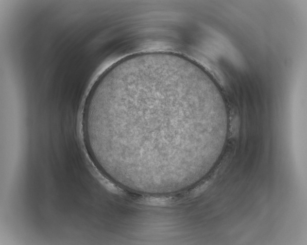 X0000110931086200907161534