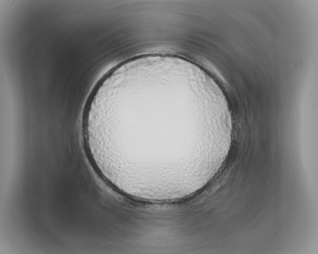 X0000110931087200907161534