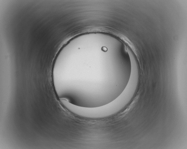 X0000110931089200907161534