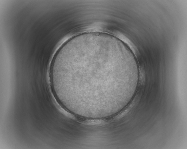 X0000110931090200907161534