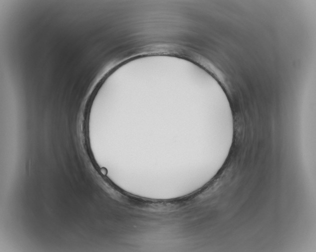 X0000110931091200907161534