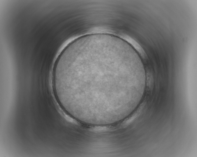 X0000110931094200907161534