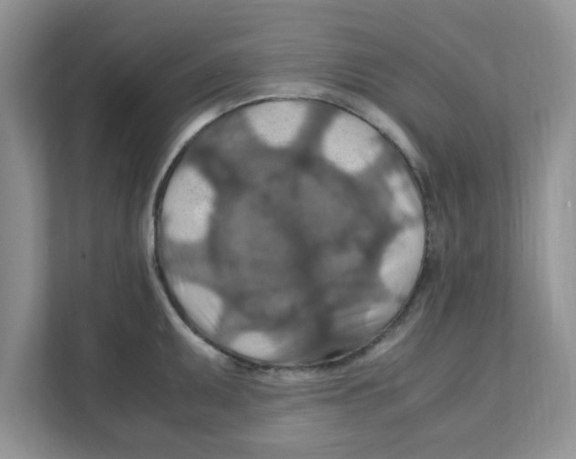 X0000110931095200907161534