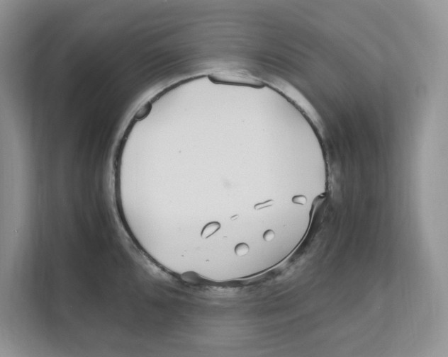 X0000110931096200907161534