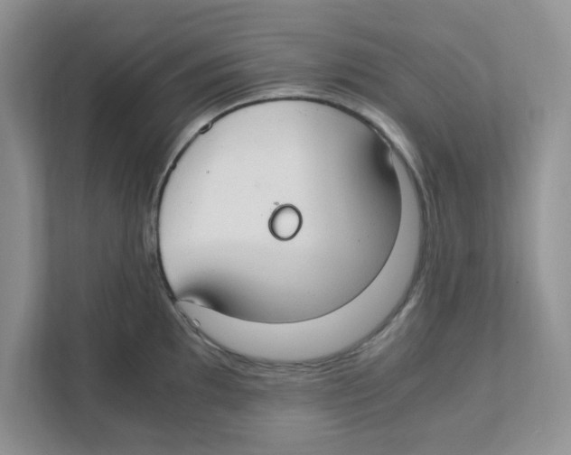 X0000110931097200907161534