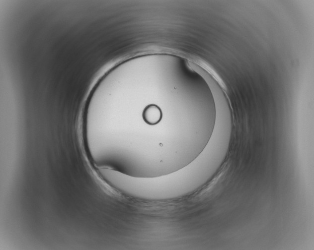 X0000110931098200907161534