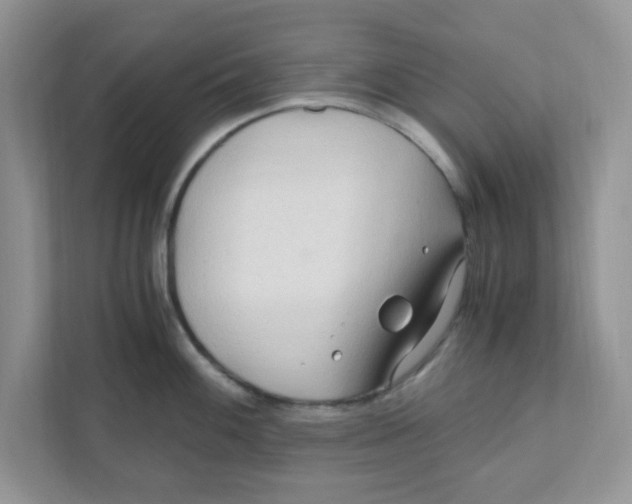 X0000110931100200907161534