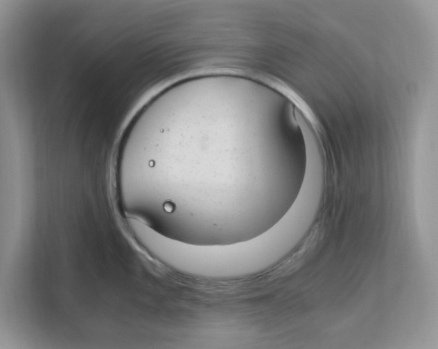 X0000110931101200907161534