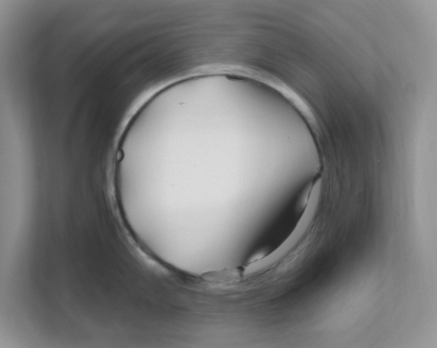 X0000110931102200907161534
