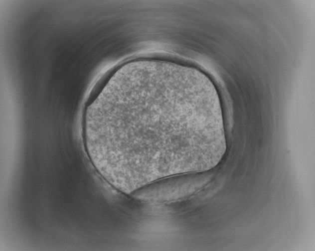 X0000110931104200907161534