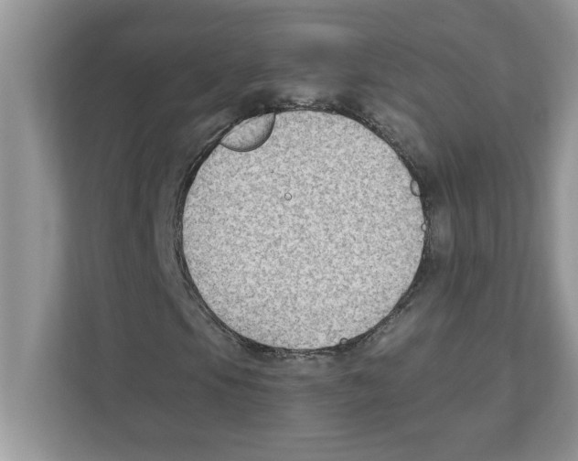 X0000110931105200907161533
